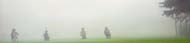 07fogofwarselinsB